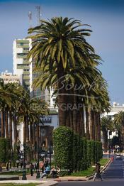 Image du Maroc Professionnelle de  Le Boulevard Mohammed V situé au Centre ville de Rabat est considéré comme la plus belle avenue du Maroc. Celle-ci nécessite une véritable rénovation. le 2 Mars 2007. (Photo / Abdeljalil Bounhar)